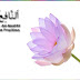 An-Nafi’