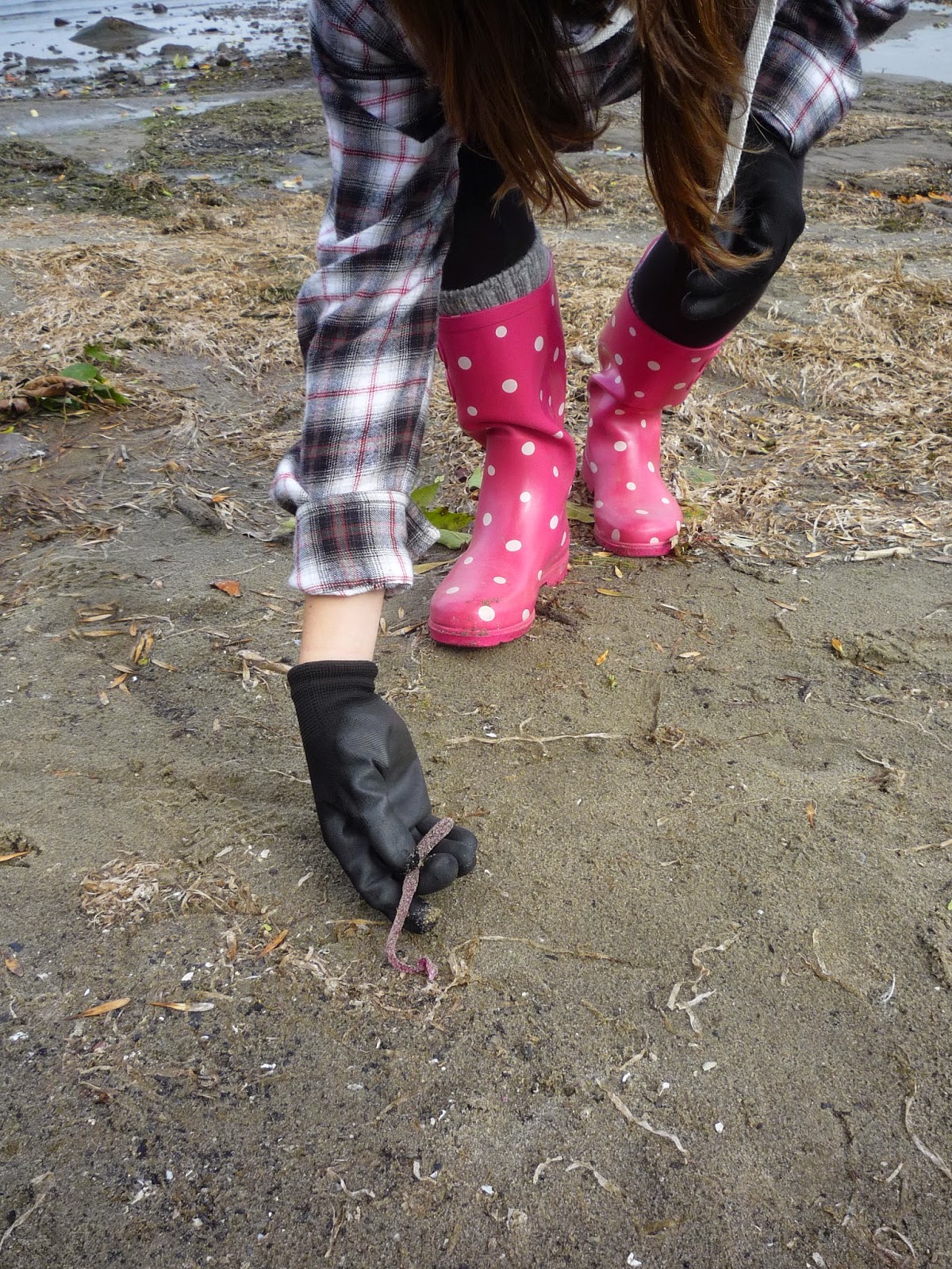 International Coastal Cleanup Blanchard Beach, Burlington, Vermont