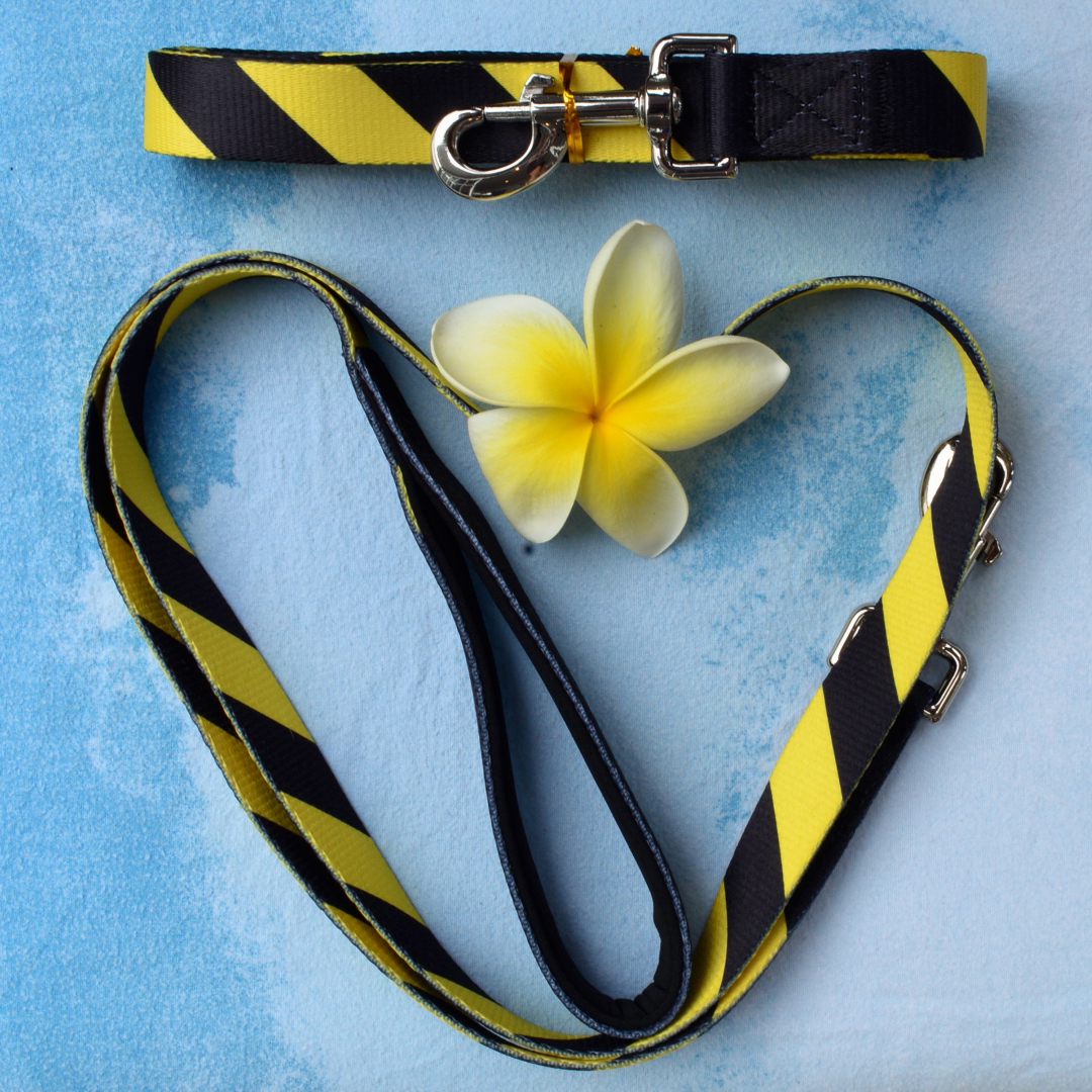 New 'Caution Leash' for Nervous Dogs Australian Dog Lover