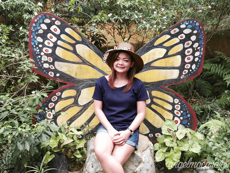 Palawan Butterfly Garden and Tribal Village Photos and Videos Angel