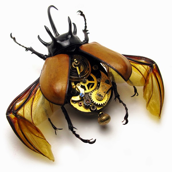 Eye For Design: Home Decor Trend......Decorating With Insects.