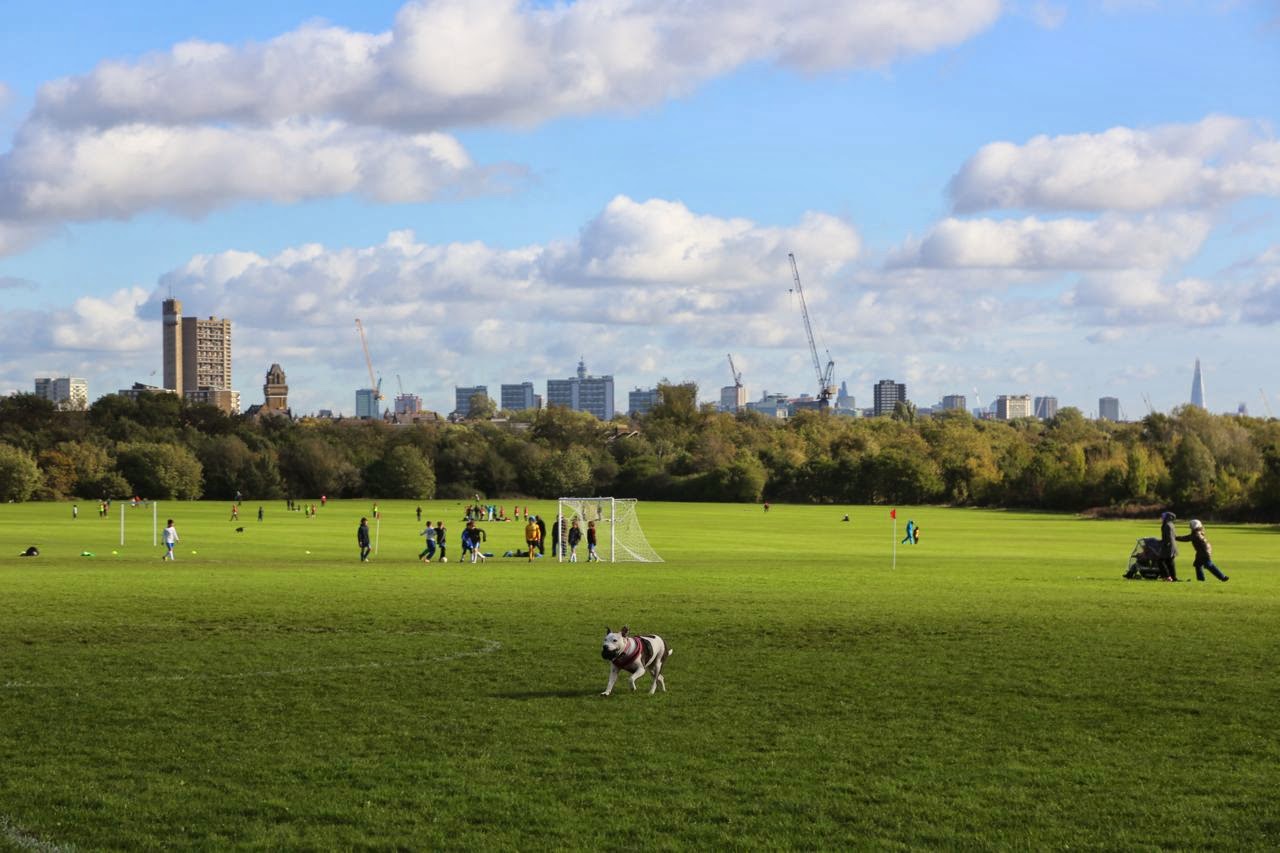 Shadows & Light Wormwood Scrubs
