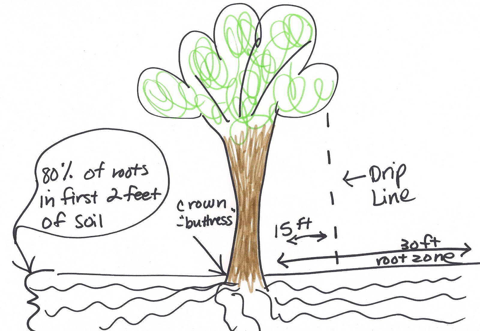 Lake Emily Garden formerly known as Earthworks, St. Peter, Minnesota