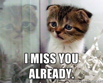 Miss you already. I miss you мышка. открытка скучаю на английском. переписка i love you. I miss you картинки красивые.