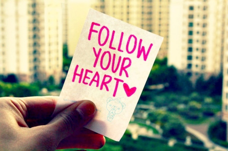 love photography love photography