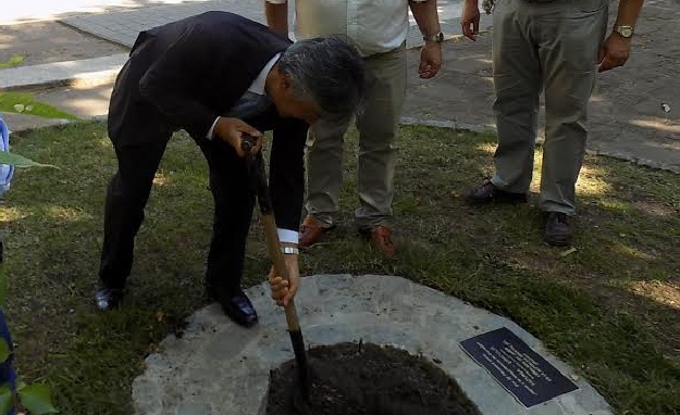 Embajador de Japón: tras participar en evento de BPU plantó un cerezo en  plaza de Durazno