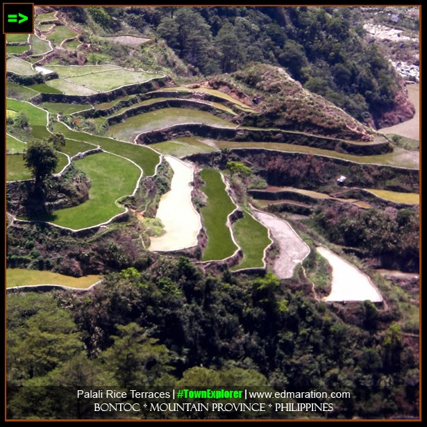 Palali Rice Terraces in Bontoc