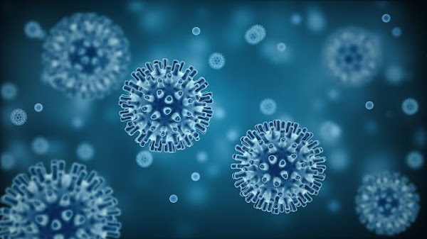 infección, resistente a medicamentos, que amenaza al mundo. infección, resistente a medicamentos, que amenaza al mundo.