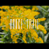#Toronto Summers- Bruce Trail (dir. by 3rdreye .@shotby3rdeye)