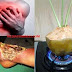 Mohon Di SHARE! Inilah Obat Penyakit Jantung, Diabetes, Dan D4rah Tinggi Yang Kurang Diketahui Orang Yang sangat Mujarab ...!!!