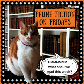 Feline Fiction on Friday's with Amber @BionicBasil®