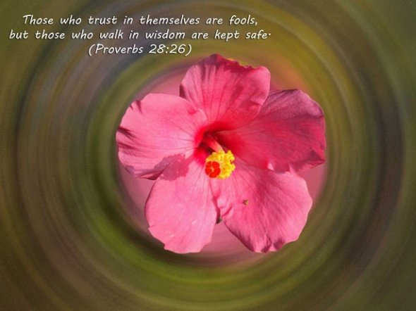 Proverbs Bible Quote Wallpapers | Beautiful Flower Wallpapers | Free