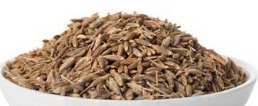 Cumin Seeds / Jeera for Cold and Respiration Cumin Seeds / Jeera for Cold and Respiration