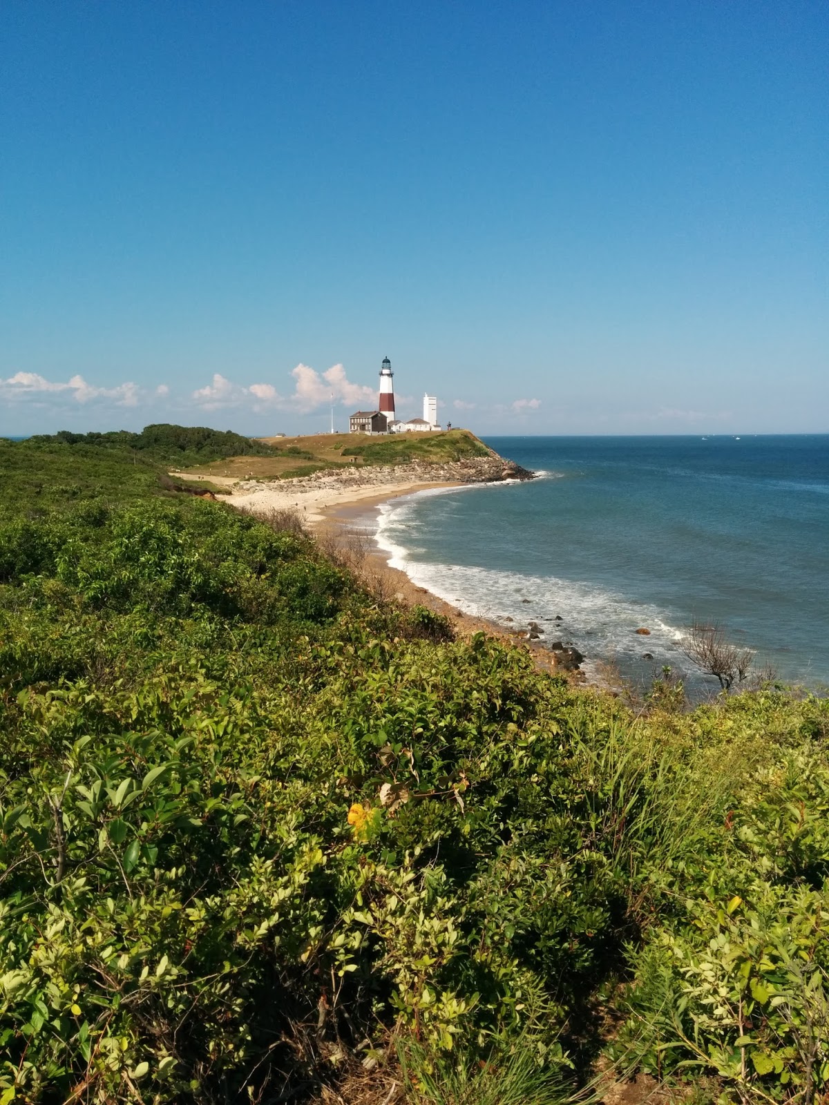 Dogs Luv Us and We Luv Them DOG FRIENDLY GETAWAY IN MONTAUK, NEW YORK