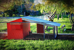 producers pride red barn chicken coop 1