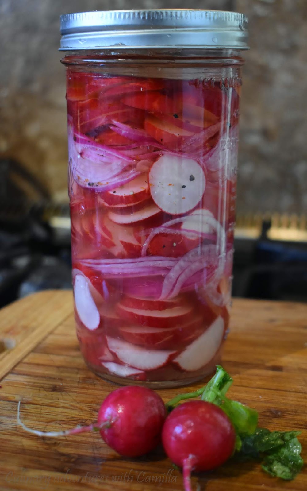 Quick Pickled Red Onions and Radishes