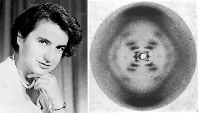 Rosalind Franklin 1920-1958 Βρετανίδα βιοφυσικός