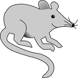 picture of a mouse with a smile