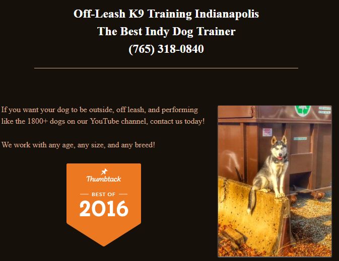 Indianapolis dog trainers