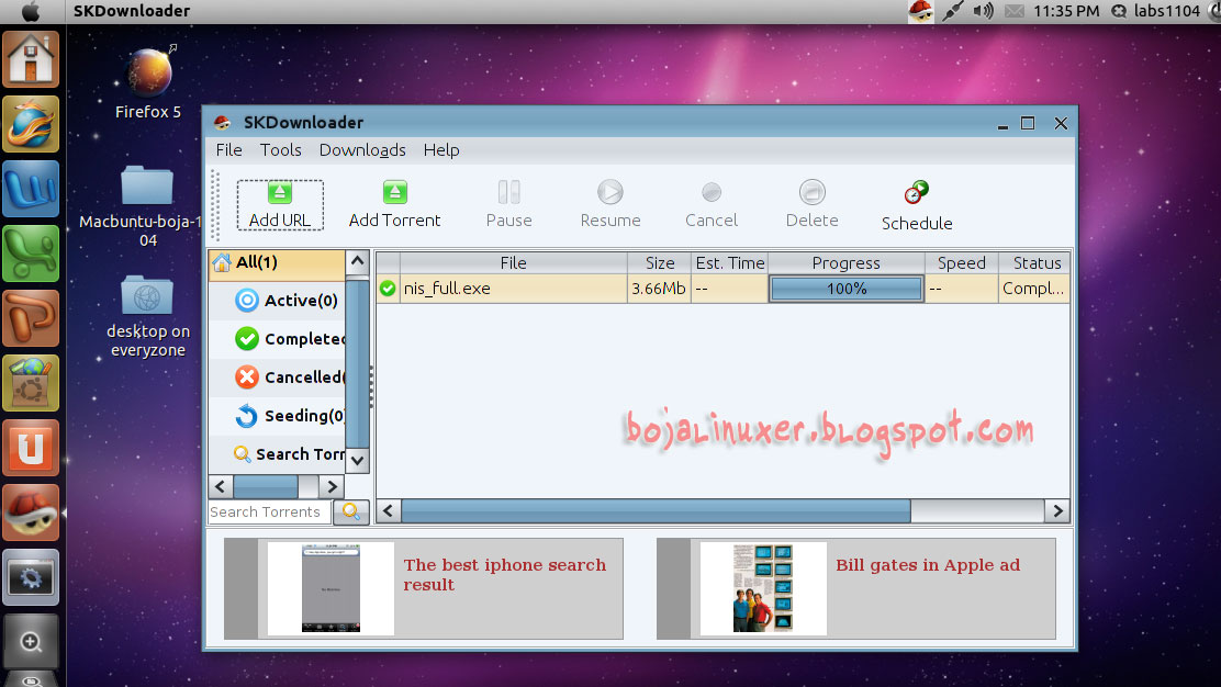 ubuntu 10.04 italiano scaricare