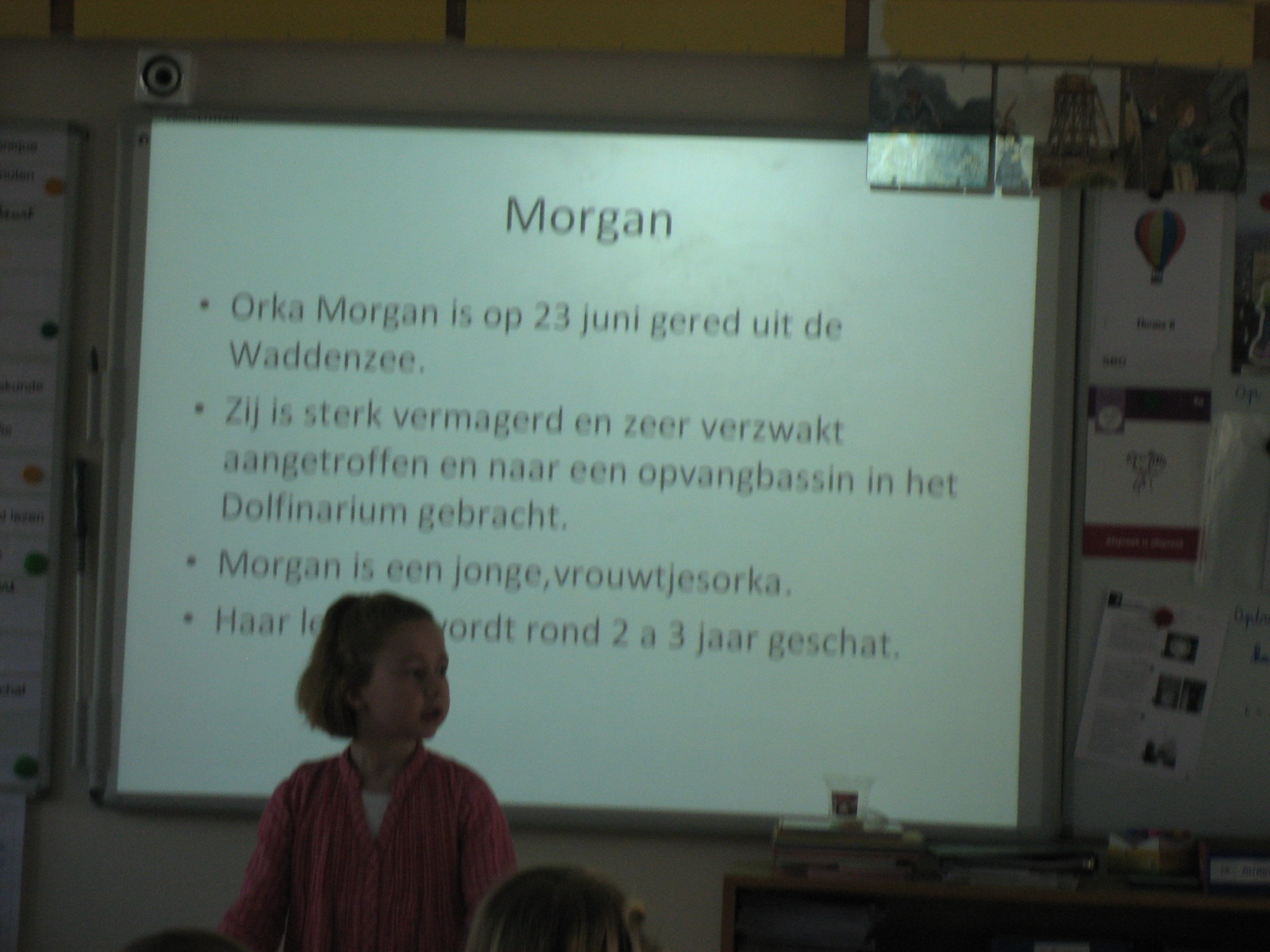 groep 7: spreekbeurt Renkse