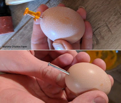 Poking a hole in an egg with a push pin 