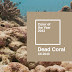 EL COLOR PANTONE DEL AÑO 2043 SERÁ EL 'DEAD CORAL'