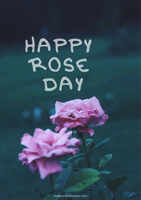 Happy Rose Day Images 2019