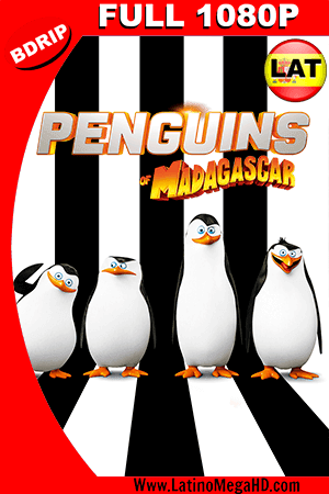 Los Pingüinos de Madagascar (2014) Latino FULL HD BDRIP 1080P ()