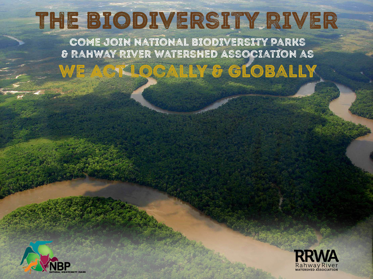 River of Biodiversity 