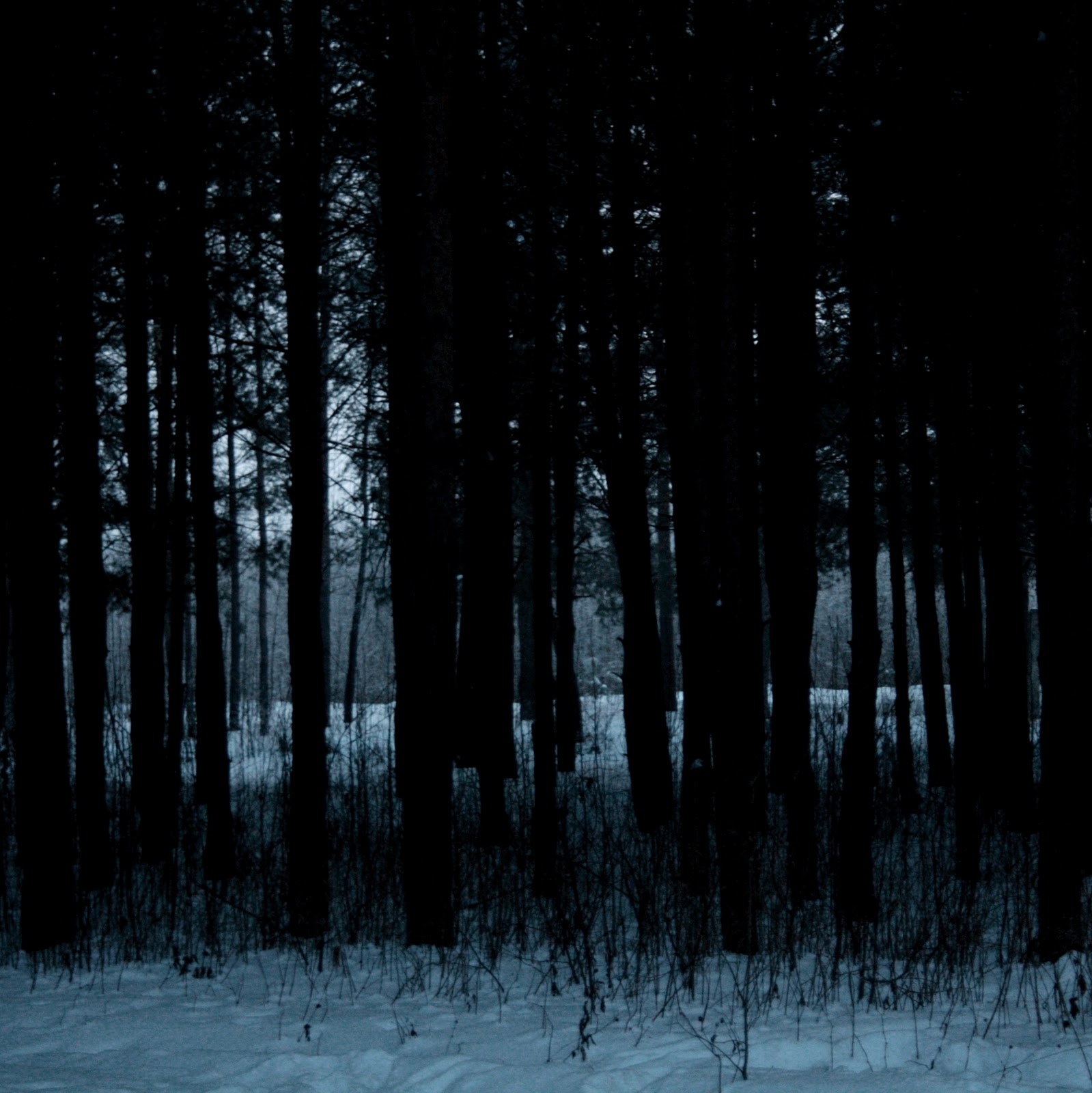 В темном лесе ноты. Песня в темном лесу. Песня в темном лесу. В темном-темном лесу. Песня в темном лесу.