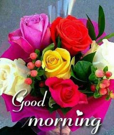 good morning good morning