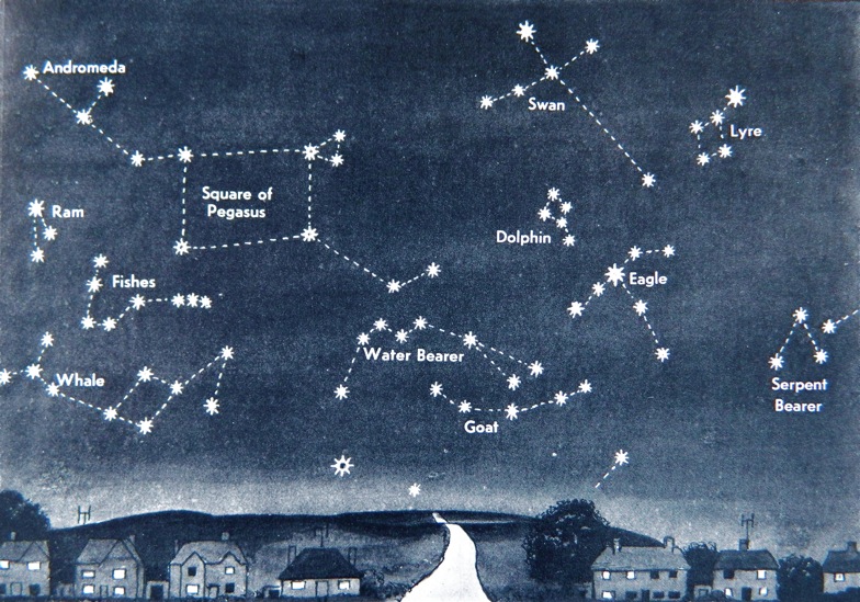 Pembrokeshire Astronomer: Lawn astronomy, the Summer Triangle & Where's