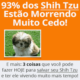 http://www.shihtzubrasill.com.br/2017/07/porque-os-shih-tzu-estao-vivendo-menos.html