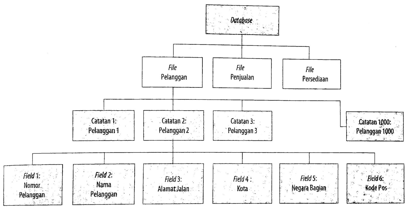Bab 4 Database Relasional