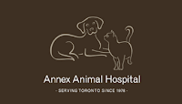 Annex Animal Hospital offers veterinary services in downtown Toronto Veterinarians in downtown Toronto