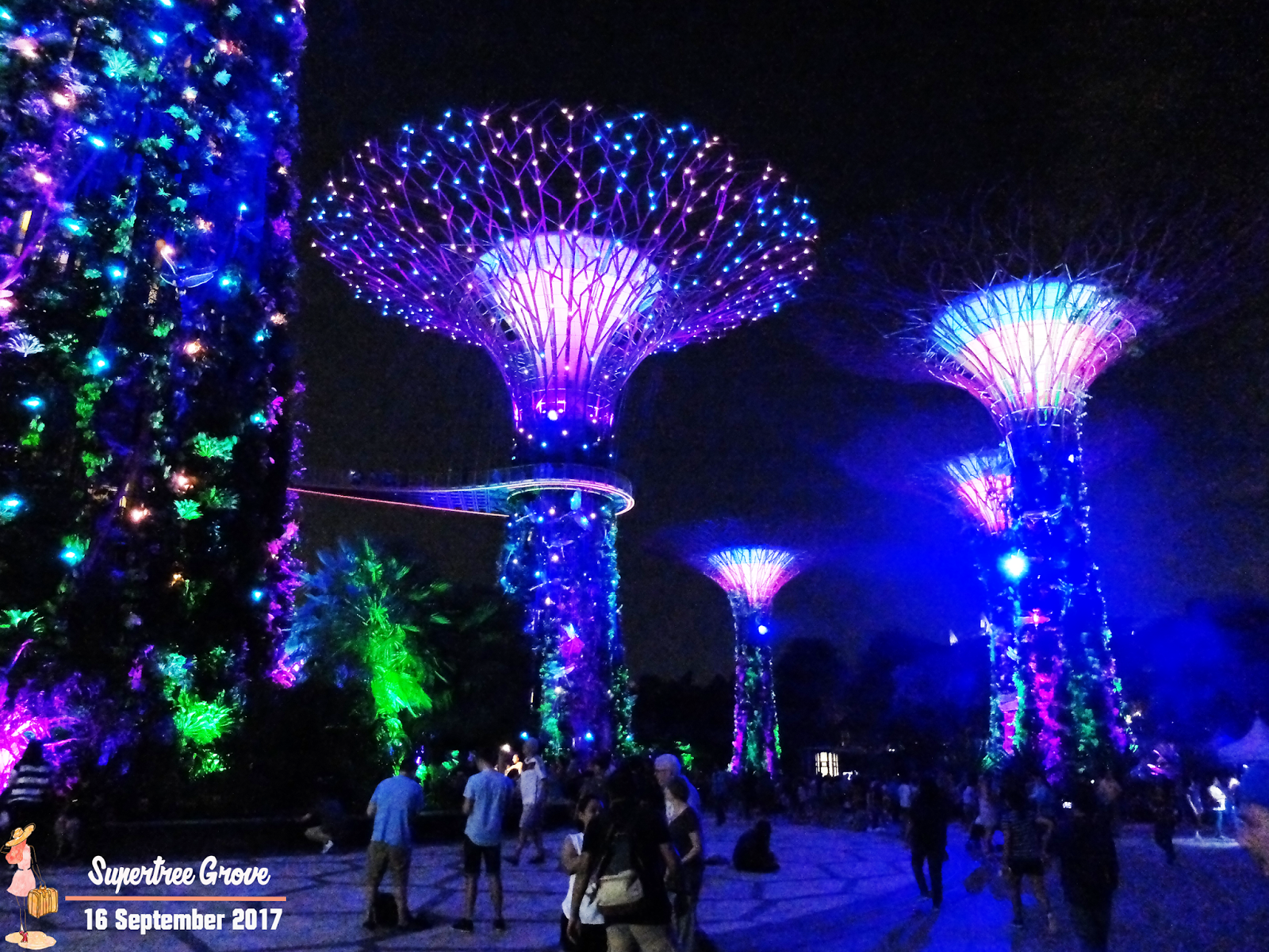 ocbc skyway