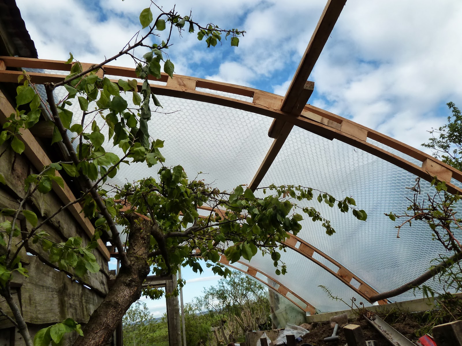 Backsbottom Farm Apricot Greenhouse