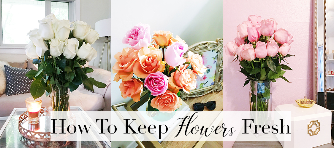 How To Keep Flowers Fresh Longer 💐 Tay Meets World