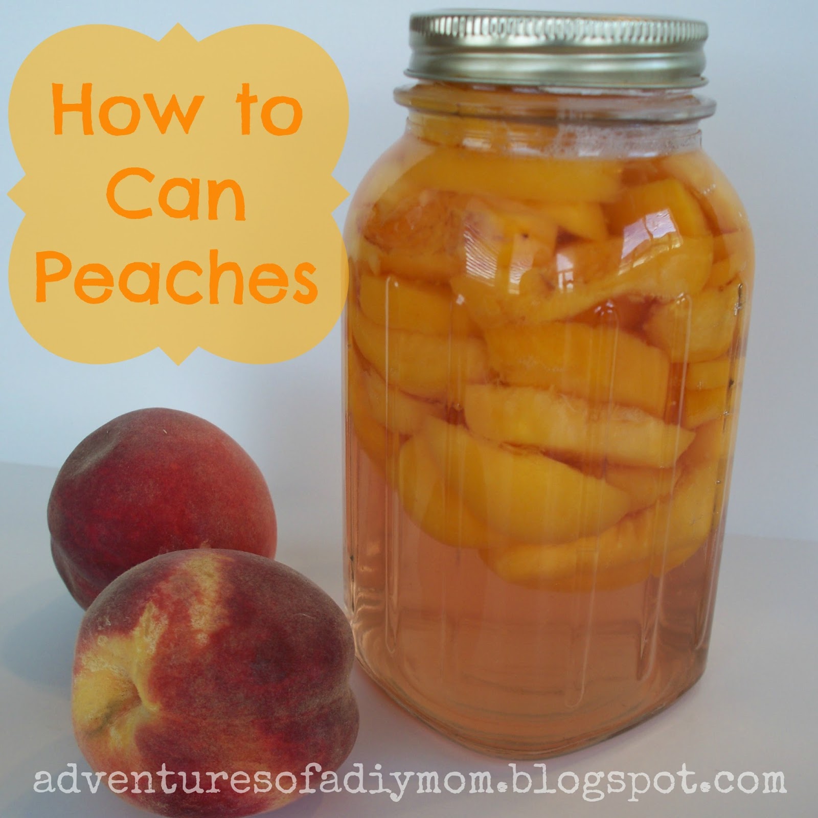 16 Fabulous Peach Recipes Adventures of a DIY Mom