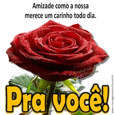 amz.jpg