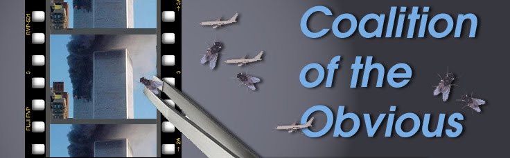 Coalition of the Obvious