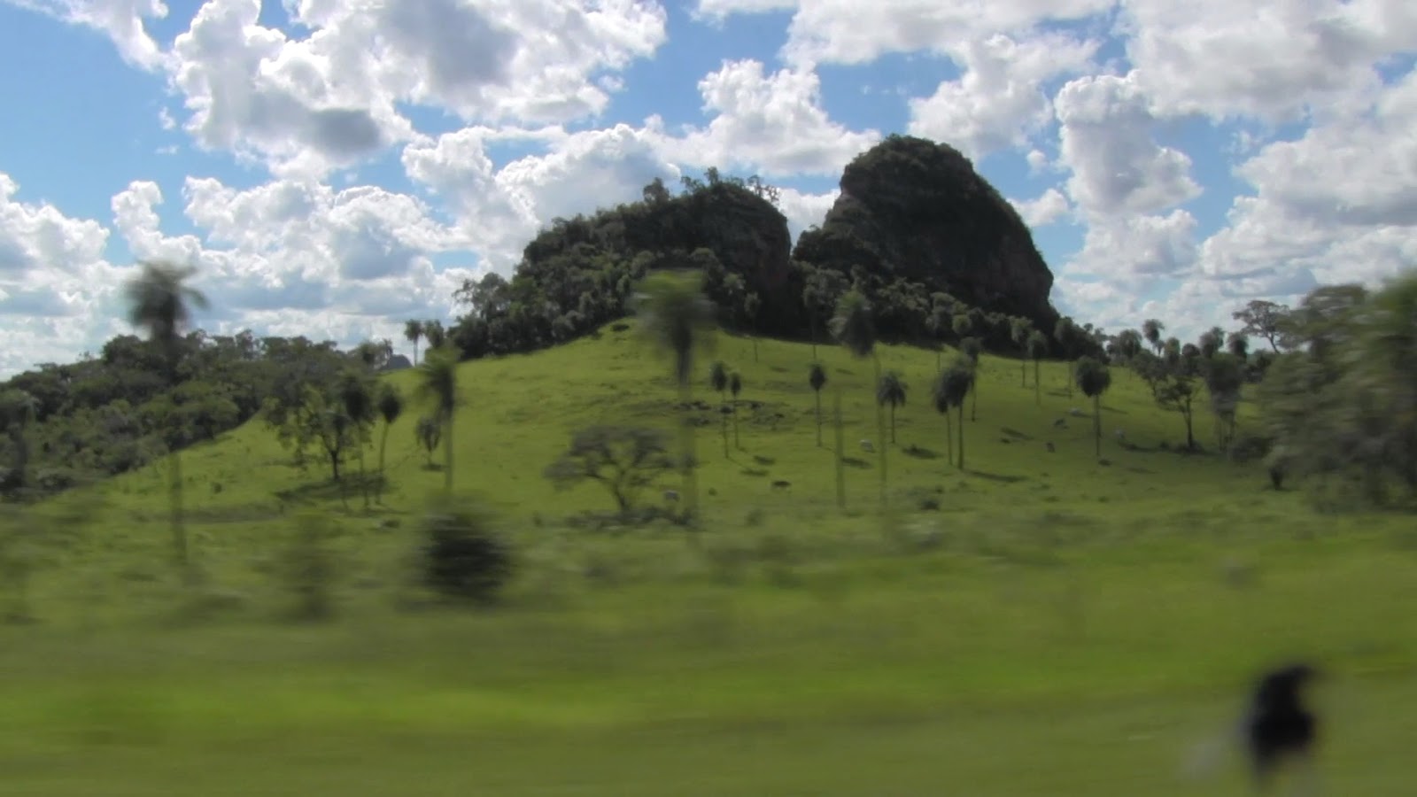 Paraguay's "Mountains" Jocky in Paraguay