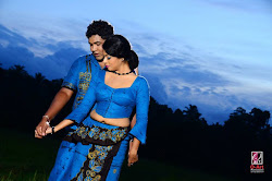 shoot pre wedding lankan sri lanka