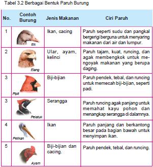 Biologi: ADAPTASI MAKHLUK HIDUP