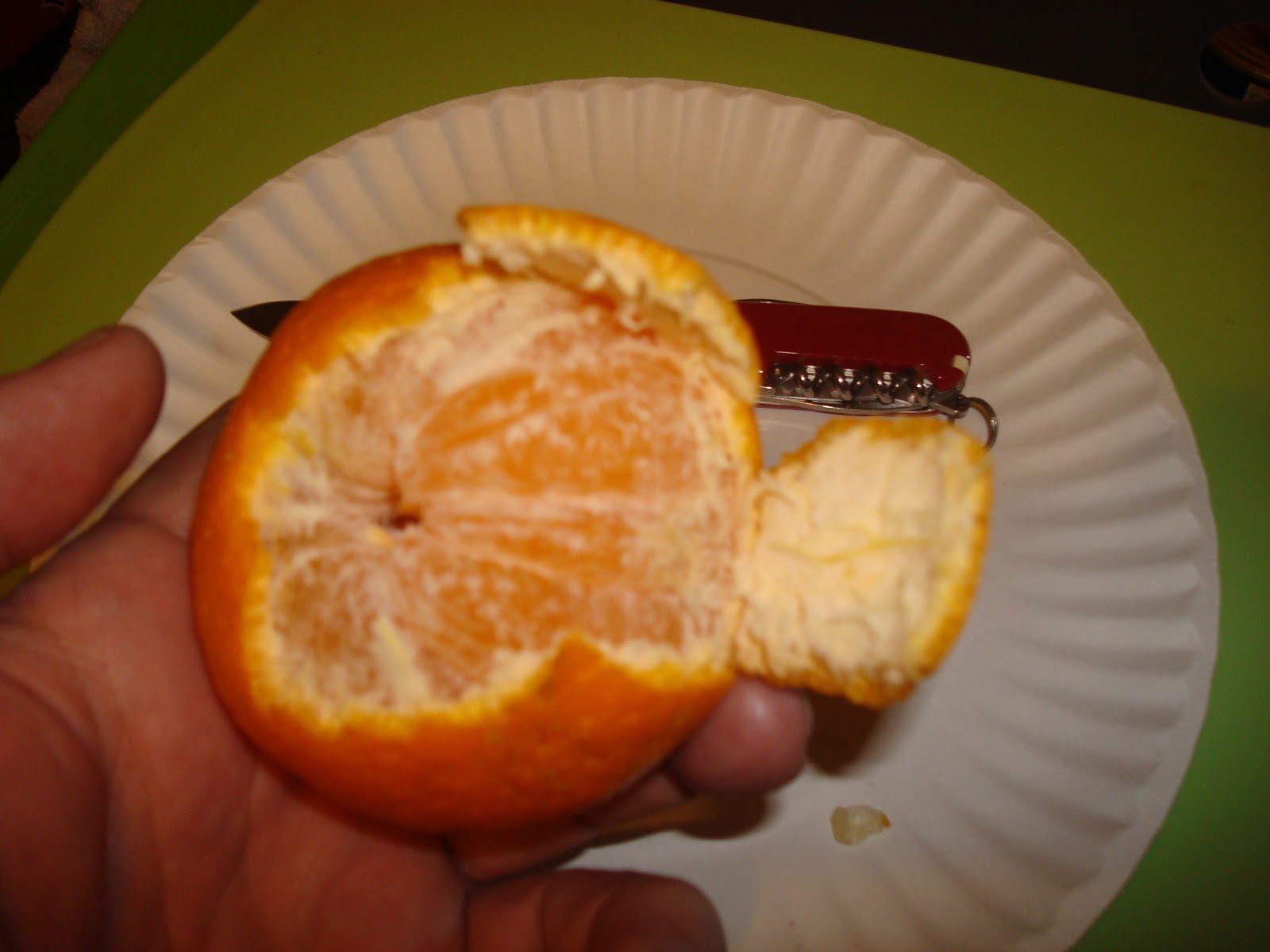 Dan's Cajun Figs Louisiana Satsumas