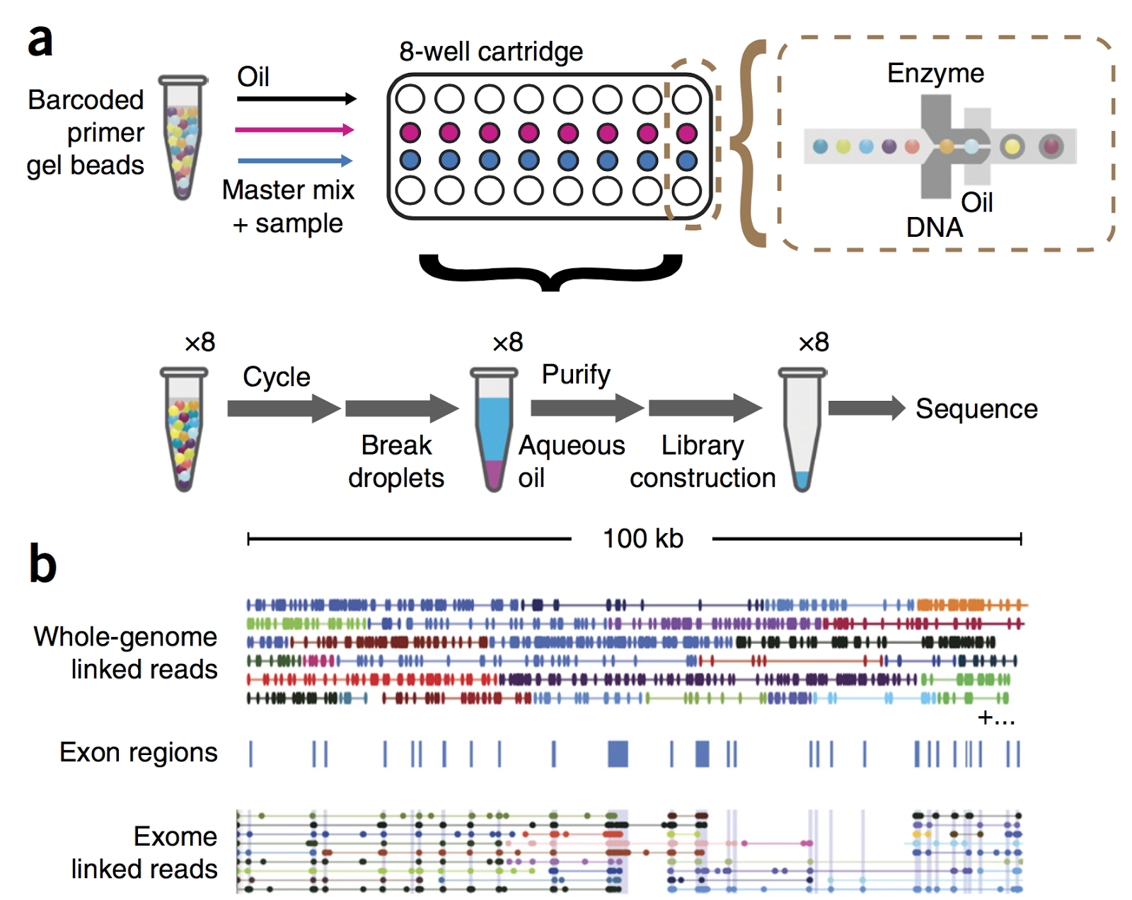 coregenomics 10x genomics publications 10x genomics