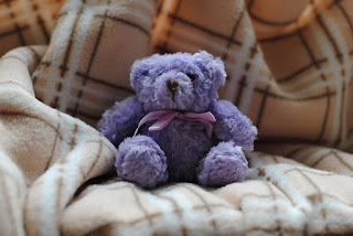 Teddy Bear Images Teddy Bear Images