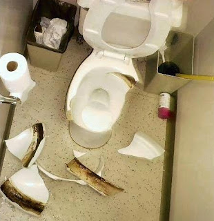 ASIKTAU: Inilah Bahaya Jongkok Diatas WC Duduk, Wajib Masuk