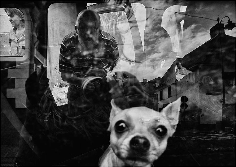 Emerging Photographers, Best Photo of the Day in Emphoka by Mirela Momanu Emerging Photographers, Best Photo of the Day in Emphoka by Mirela Momanu